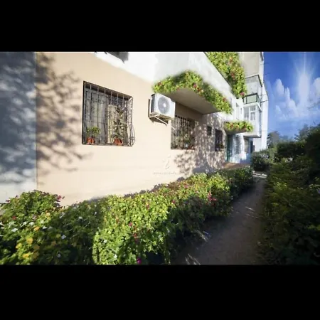 Daniela , Strada Rozelor Mangalia