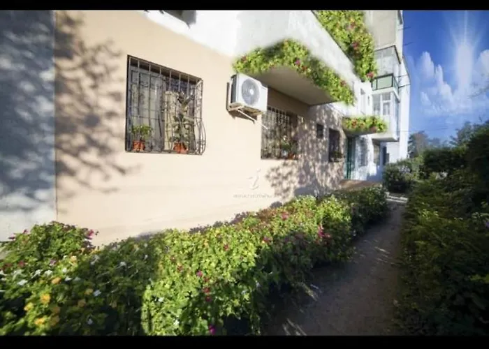 Daniela , Strada Rozelor 만갈리아