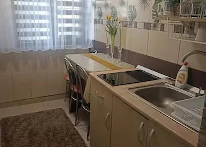 Daniela , Strada Rozelor *